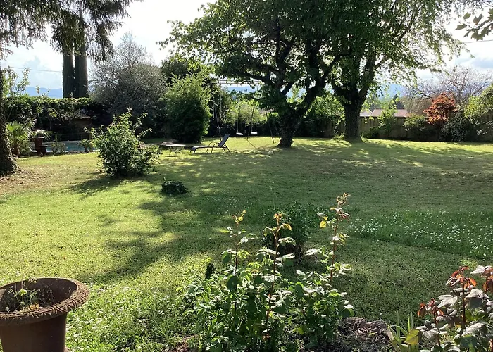 Phedre En Saone